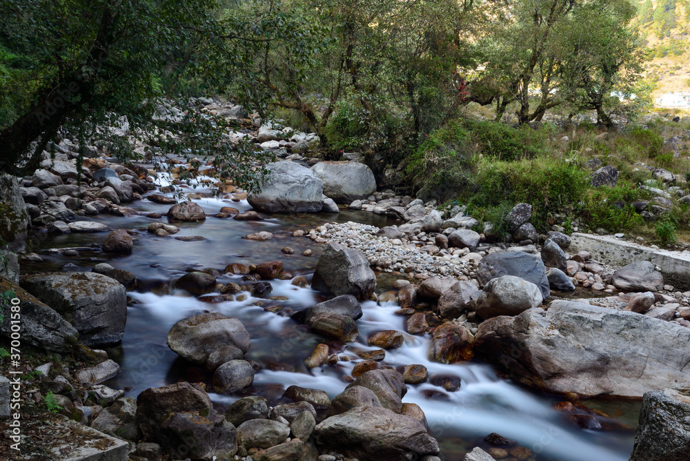River running through the forest River running through the forest