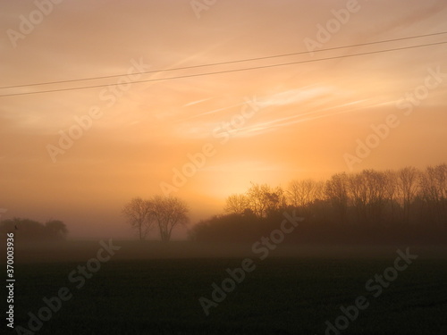 misty morning sunrise in the forest