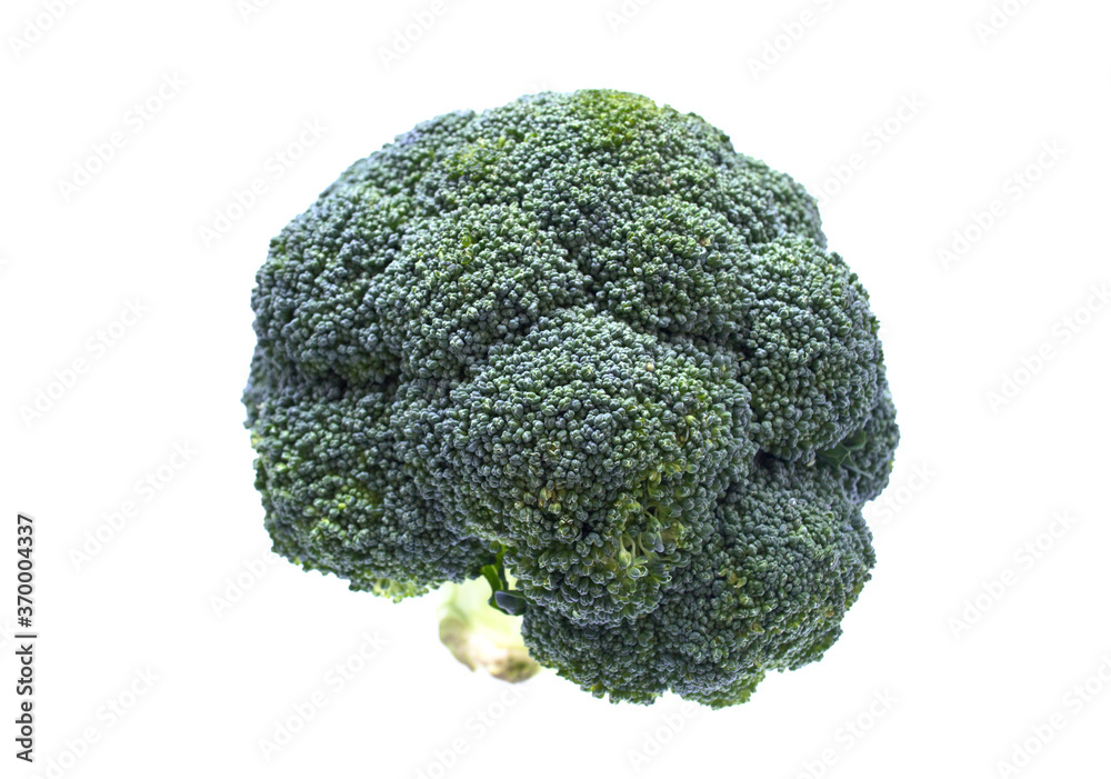 Fresh green broccoli isolate on white. Healthy food concept Fresh green broccoli isolate on white. Healthy food concept