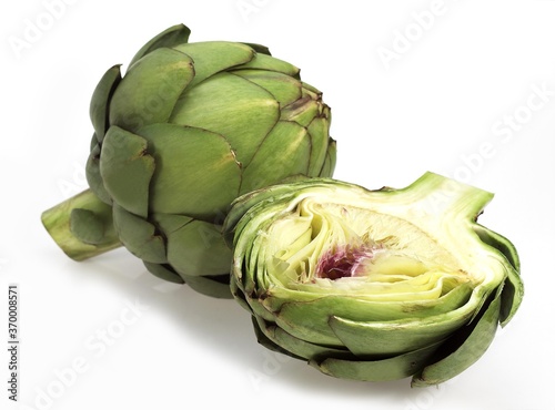 ARTICHOKE cynara scolymus AGAINST WHITE BACKGROUND