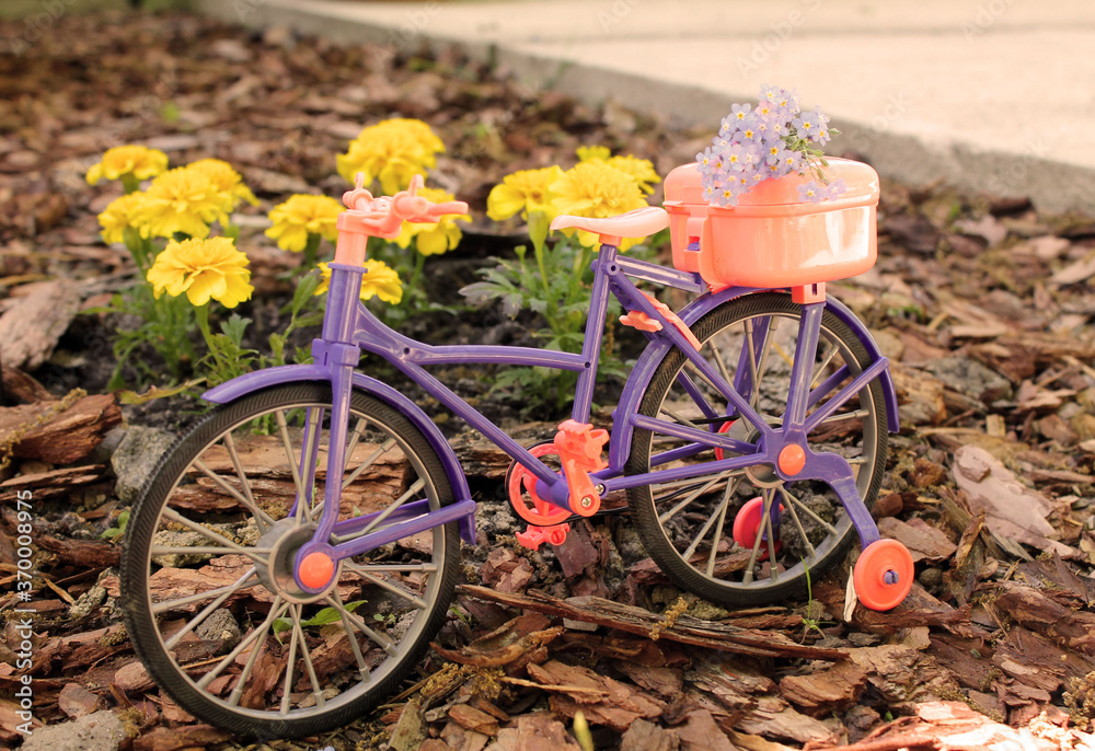 Fototapeta premium toy bike near a flower bed