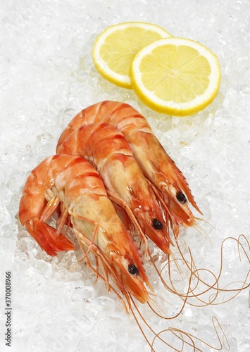 FRESH PRAWN ON ICE WITH A SLIDE OF YELLOW LEMON photo