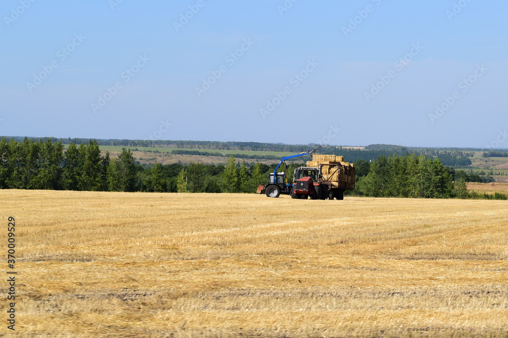 Fototapeta premium machines remove hay from the fields