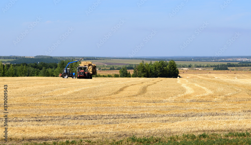Obraz premium machines remove hay from the fields