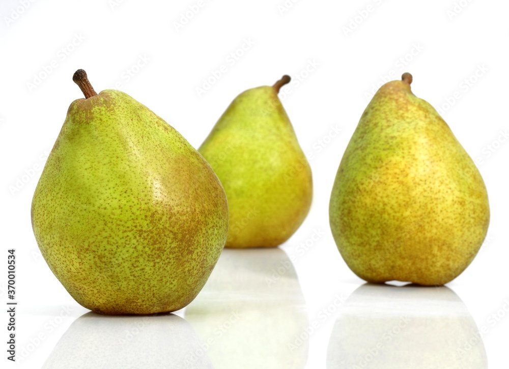 COMICE PEAR pyrus communis AGAINST WHITE BACKGROUND COMICE PEAR pyrus communis AGAINST WHITE BACKGROUND
