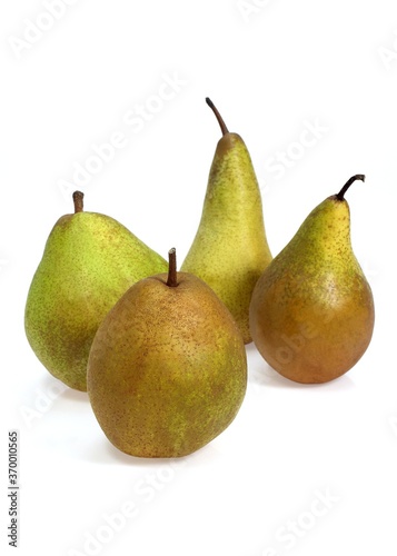 BEURRE HARDY, COMICE, WILLIAMS AND CONFERENCE PEARS