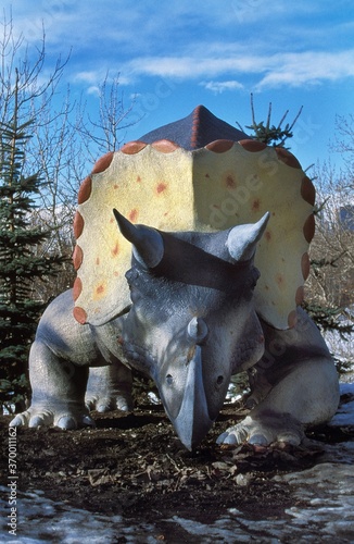 TRICERATOPS, HERBIVOROUS CERATOPSID DINOSAUR WHICH LIVED IN NORTH AMERICA DURING THE LATE MAASTRICHTIAN STAGE OF THE LATE CRETACEOUS PERIOD, AROUND 70 AND 65 MILLION YEARS AGO photo