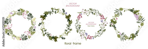 Set of circle floral frame meadow herbs. Floral green wreaths. Element design. Vector illustration