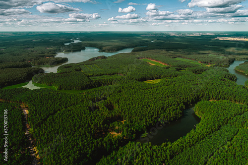 Obraz na płótnie Jezioro w lesie w salonie