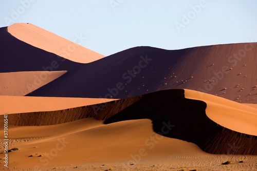 NAMIB-NAUKLUFT PARK  NAMIB DESERT  SOSSULSVLEI DUNES IN NAMIBIA
