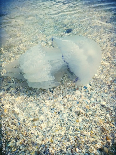 aerial view of the sea