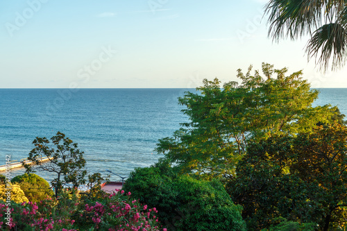 Green flowering trees on the background of the sea