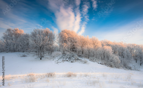 winter landscape with trees © Evgenii Ryzhenkov