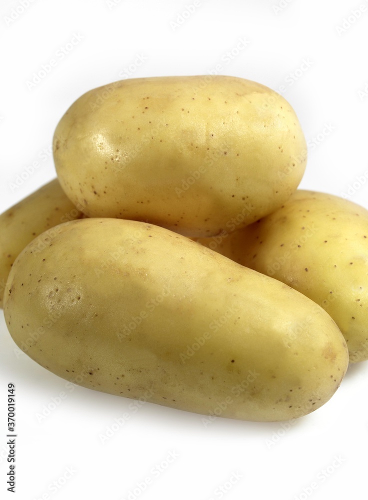 CHARLOTTE POTATO solanum tuberosum AGAINST WHITE BACKGROUND