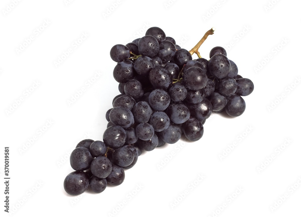 BLACK MUSCAT GRAPE vitis vinifera AGAINST WHITE BACKGROUND