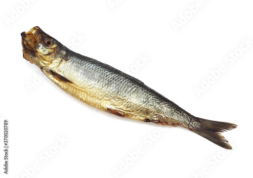 SMOKED HERRING OR BOUFFI BLOATER clupea harengus AGAINST WHITE BACKGROUND photo