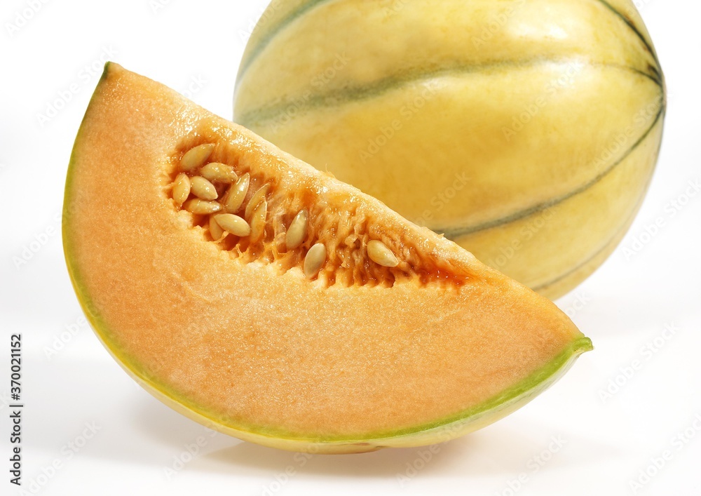 Cavaillon Melon, cucumis melo, Fruit against White Background Cavaillon Melon, cucumis melo, Fruit against White Background
