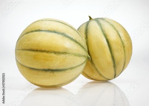 Cavaillon Melon, cucumis melo, Fruit against White Background