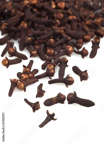 Clove, eugenia caryophyllata, Spice against White Background photo