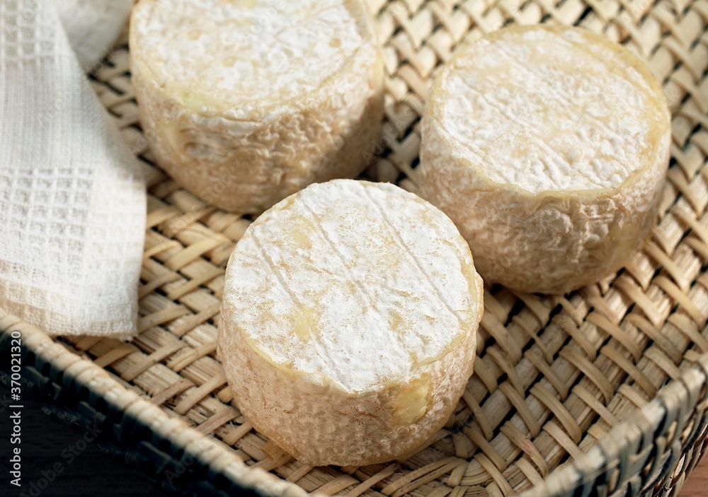 French Cheese called Crottin de Chevre, a Goat Cheese French Cheese called Crottin de Chevre, a Goat Cheese