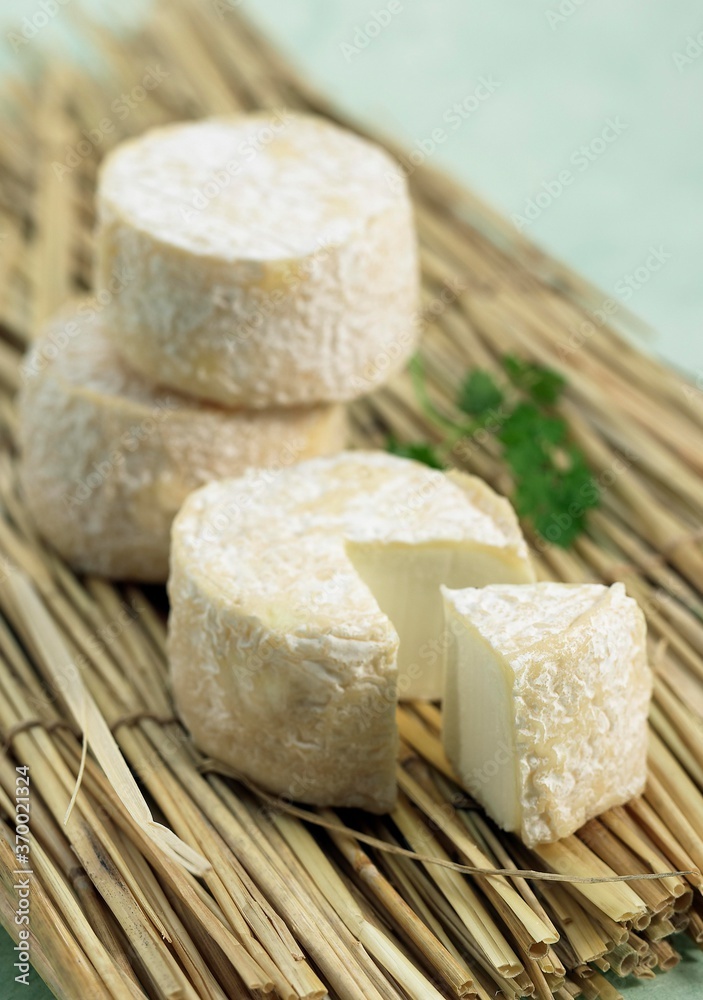 French Cheese called Crottin de Chevre, a Goat Cheese
