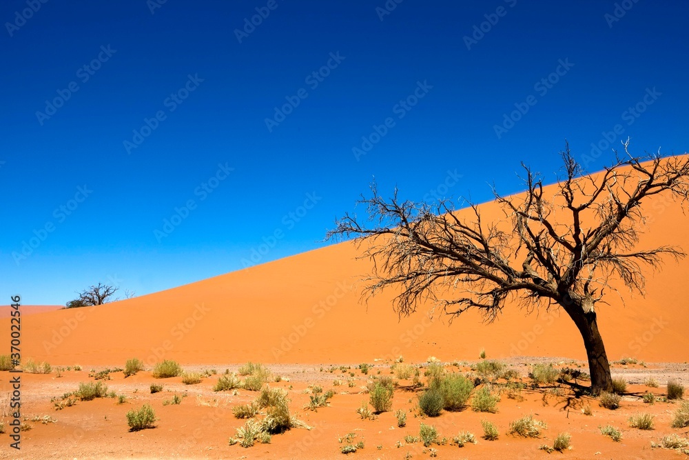 Namib Desert, Namib-Naukluft Park, Sossusvlei Dunes, Namibia Namib Desert, Namib-Naukluft Park, Sossusvlei Dunes, Namibia