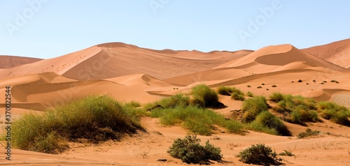 Namib Desert, Namib-Naukluft Park, Sossusvlei Dunes, Namibia