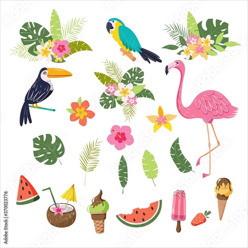 Summer tropical set with exotic flowers, monstera leaves, flamingo, toucan, parrot, ice cream, watermelon, coconut coctail. Hand drawn vector illustration with elements for flyer, invitation design.