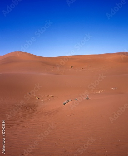 Sand Dunes in Namib Desert  Namibia
