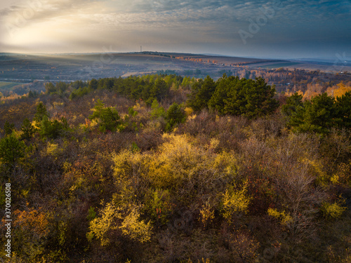 Drone flight over fall forest. Autumn leaves and trees. Orange, Red, Yellow and Green beautiful scene.