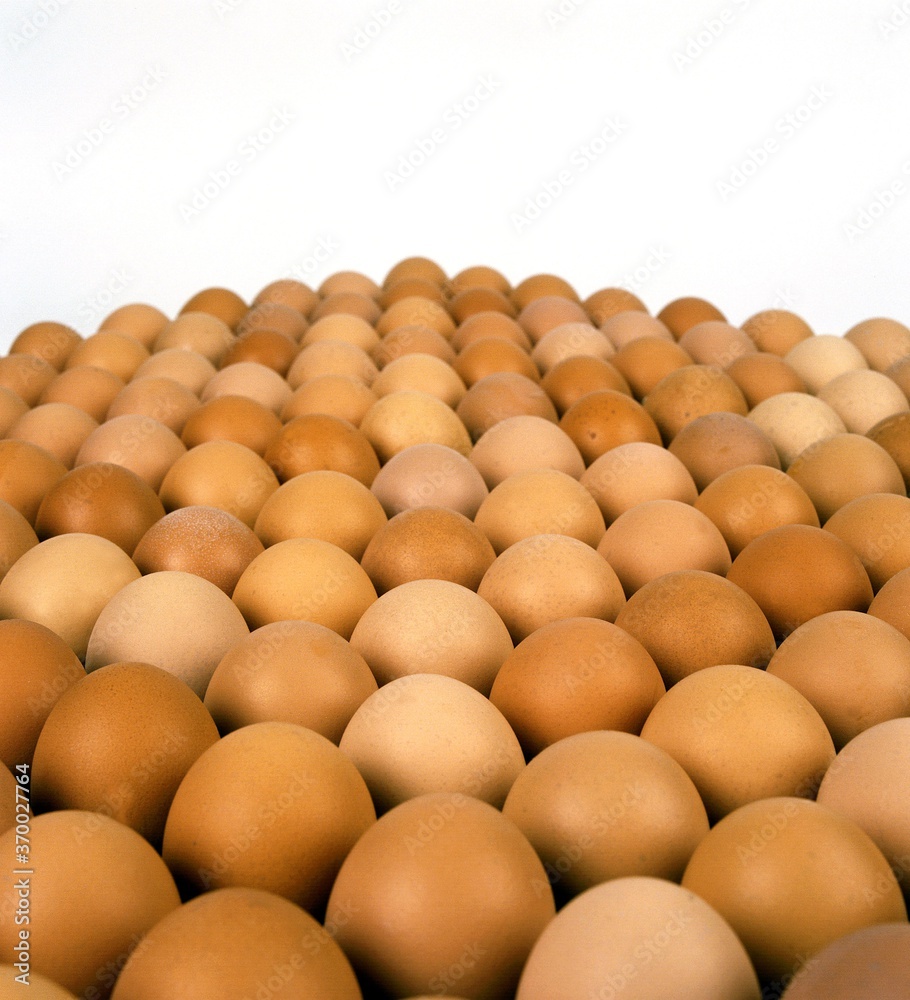 Display of Chicken Eggs Display of Chicken Eggs