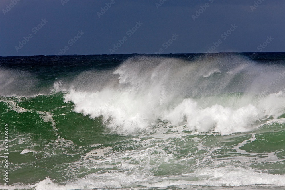 Wave, Coast at Hermanus in South Africa