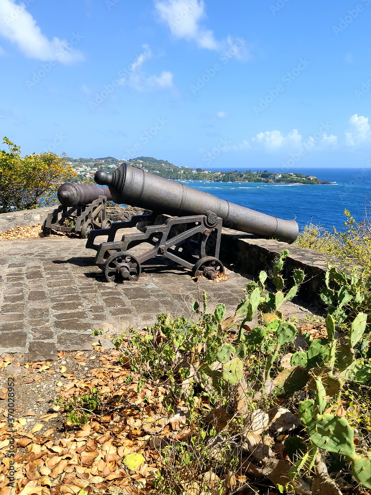 Old cannon at Fort Duvernette, Saint vincent
