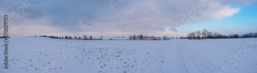 Winter landscape of a snowy farm field in Poland