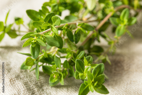 Raw Green Organic Thyme Herb
