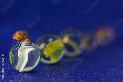 A snail sits on a glass ball. Dark background. photo