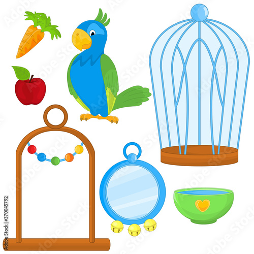 Parrot With Different Toys And Accessories