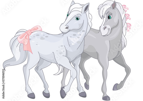Two horses