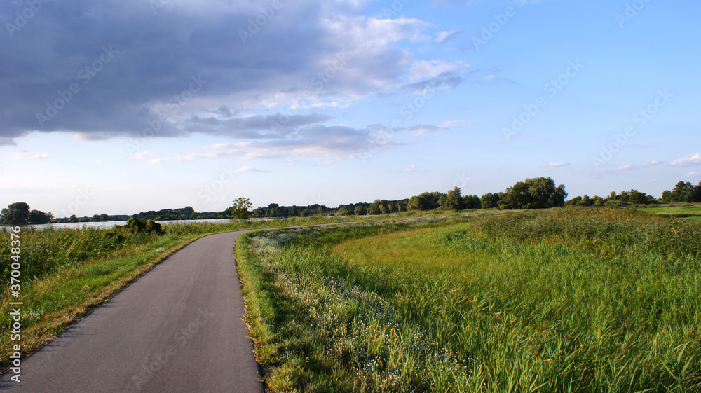 Sommerliche Wiesenlandschaft mit blauem leicht bewölktem Himmel