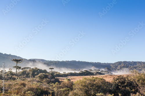 Frozen wheater at Cambara do Sul, Rio Grande do Sul, Brazil