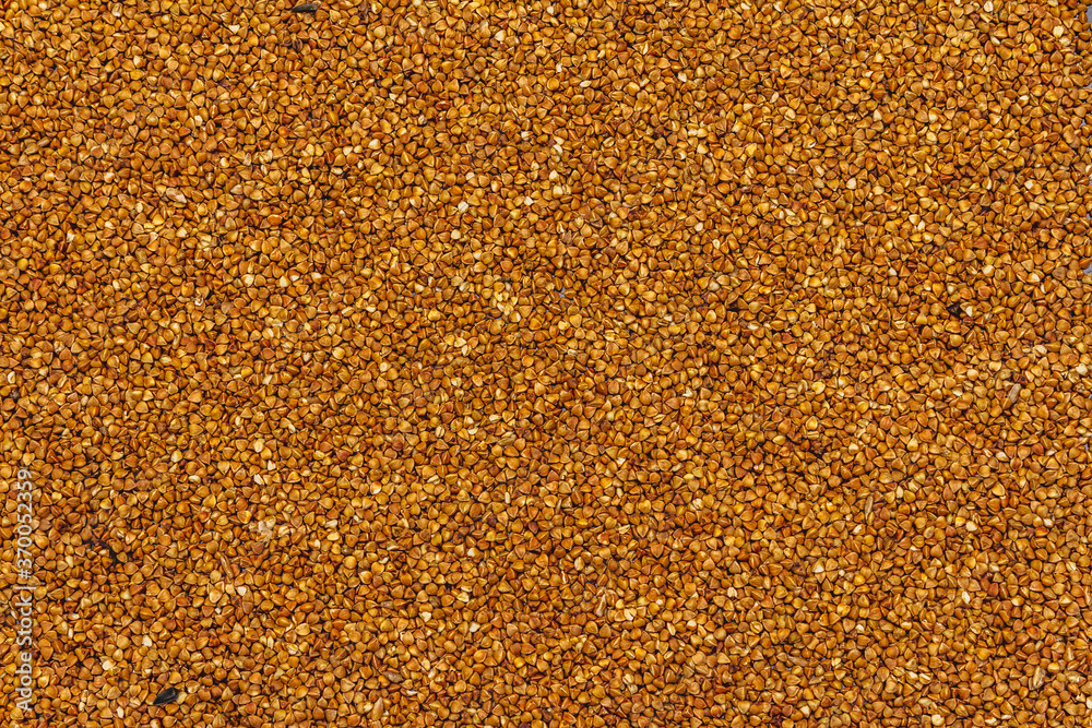 Dry buckwheat grain background Dry buckwheat grain background