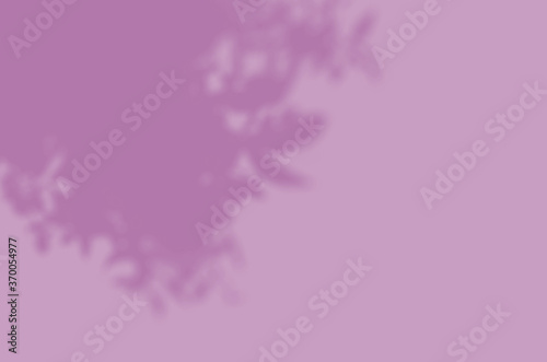 Summer background of shadows branch leaves on a wall for overlaying a photo or mockup
