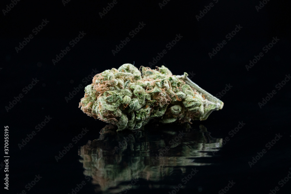 Close up of medical marijuana buds on black reflecting background Close up of medical marijuana buds on black reflecting background