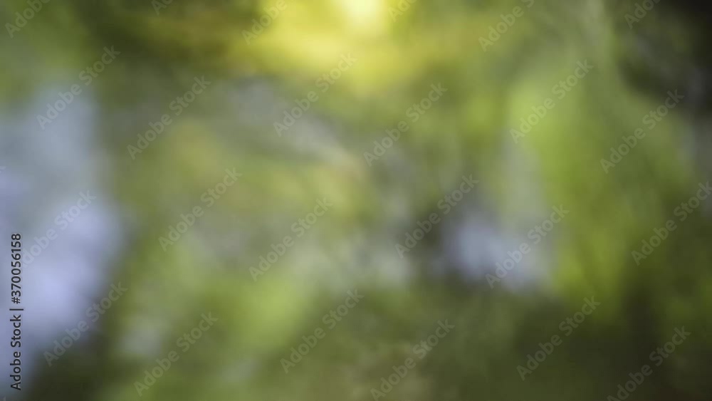 Abstract surreal flowing forest stream. Motion blur and woodland colors reflected on water surface for ethereal look and trippy feel. High quality FullHD footage Abstract surreal flowing forest stream. Motion blur and woodland colors reflected on water surface for ethereal look and trippy feel. High quality FullHD footage