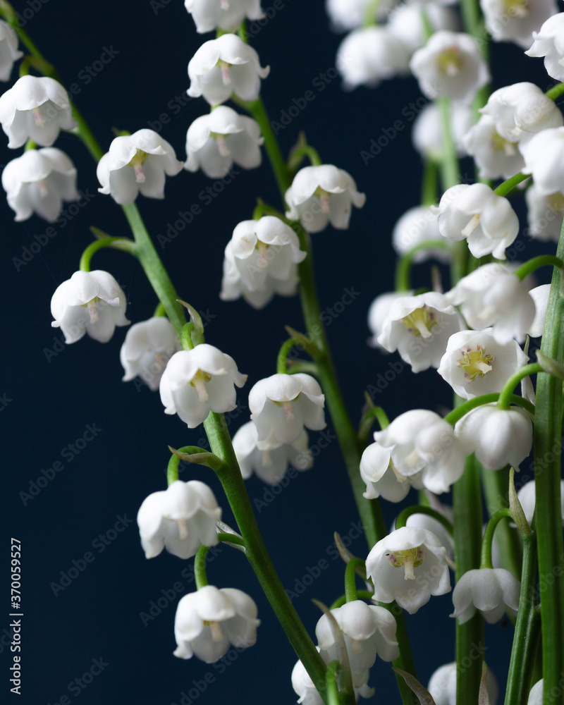 Lily of the Valley in a small vase Lily of the Valley in a small vase