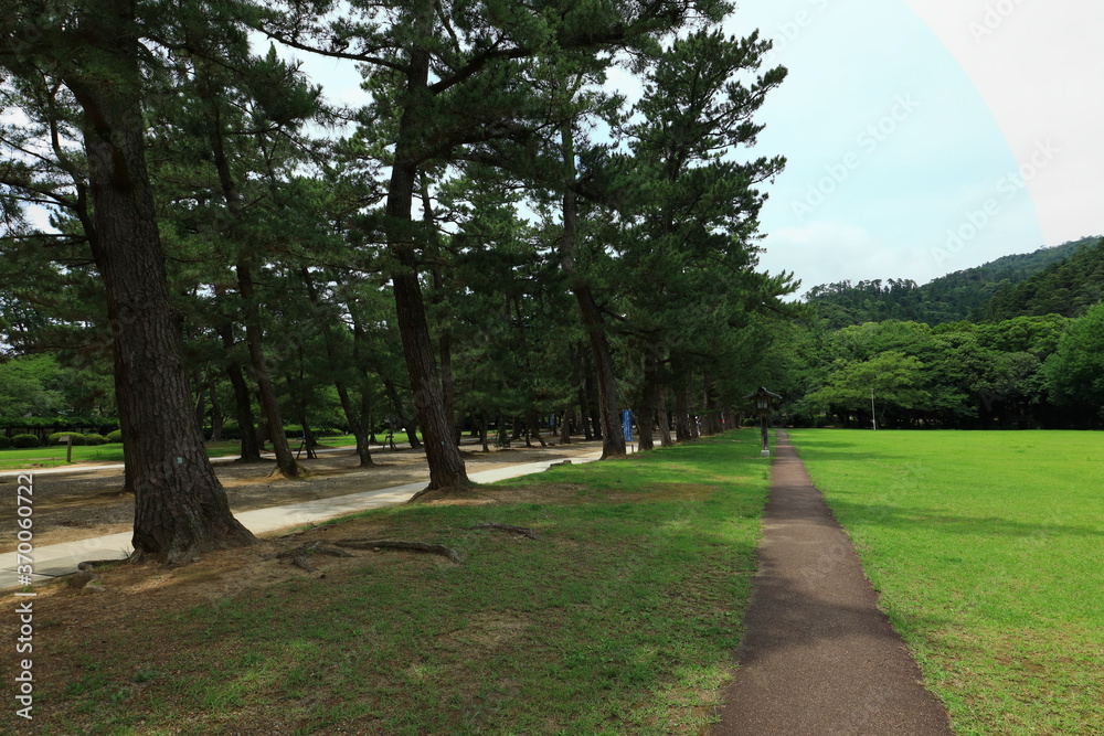 Fototapeta premium 出雲大社 島根