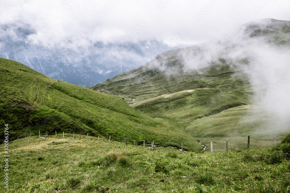 Grass field with cloud at Swiss Alps mountain Grindelwald First in Switzerland