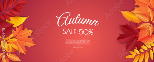 Autumn sale background layout decorate with leaves for shopping sale. Frame leaflet or web banner. Vector illustration template.