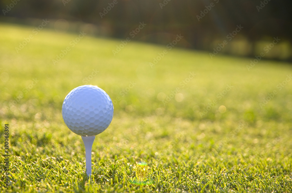 White Golf Ball on a Tee with Golden Grass Facing the Sun White Golf Ball on a Tee with Golden Grass Facing the Sun