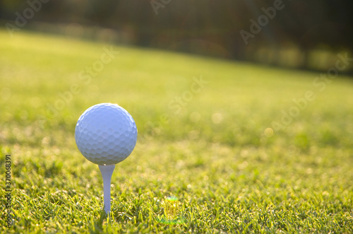White Golf Ball on a Tee with Golden Grass Facing the Sun